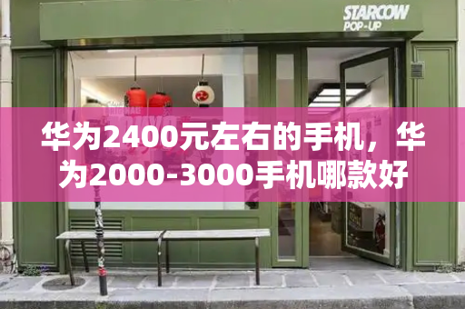 华为2400元左右的手机，华为2000-3000手机哪款好-第1张图片-星选测评