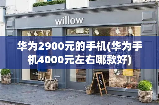 华为2900元的手机(华为手机4000元左右哪款好)-第1张图片-星选测评