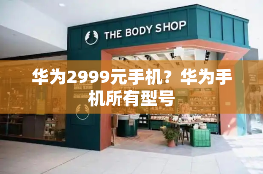 华为2999元手机？华为手机所有型号-第1张图片-星选测评