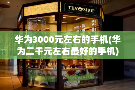 华为3000元左右的手机(华为二千元左右最好的手机)-第1张图片-星选测评