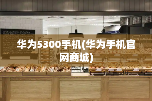 华为5300手机(华为手机官网商城)