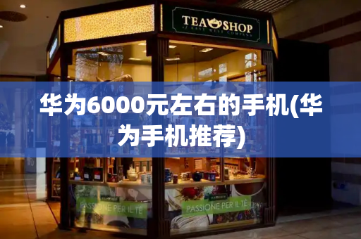 华为6000元左右的手机(华为手机推荐)-第1张图片-星选测评