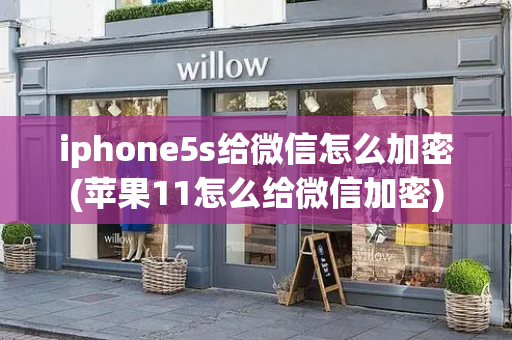 iphone5s给微信怎么加密(苹果11怎么给微信加密)