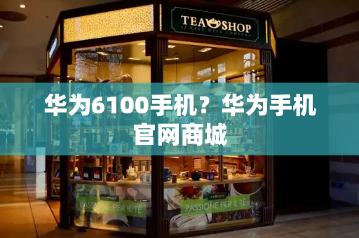华为6100手机？华为手机官网商城-第1张图片-星选测评