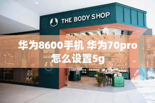 华为8600手机 华为70pro怎么设置5g