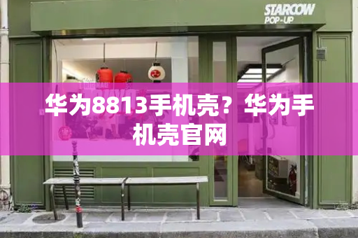 华为8813手机壳？华为手机壳官网