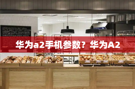 华为a2手机参数？华为A2-第1张图片-星选测评