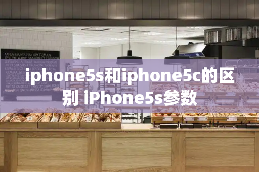 iphone5s和iphone5c的区别 iPhone5s参数