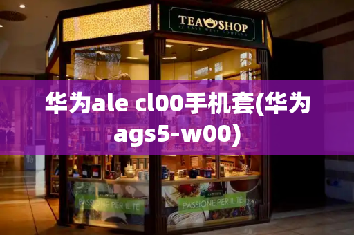 华为ale cl00手机套(华为ags5-w00)