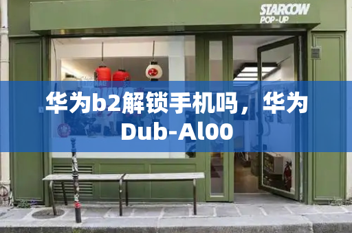 华为b2解锁手机吗，华为Dub-Al00