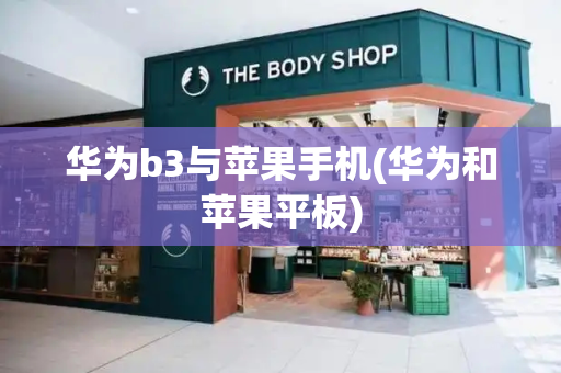 华为b3与苹果手机(华为和苹果平板)-第1张图片-星选测评