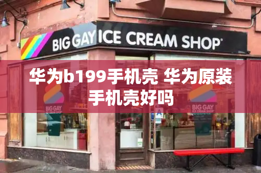 华为b199手机壳 华为原装手机壳好吗