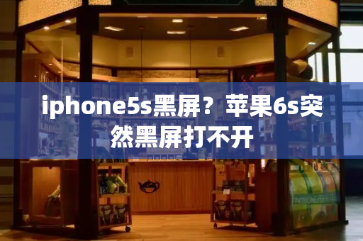 iphone5s黑屏？苹果6s突然黑屏打不开-第1张图片-星选测评