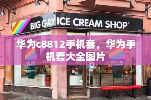 华为c8812手机套，华为手机套大全图片