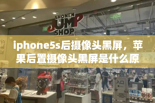 iphone5s后摄像头黑屏，苹果后置摄像头黑屏是什么原因-第1张图片-星选测评