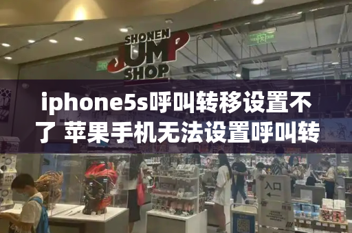 iphone5s呼叫转移设置不了 苹果手机无法设置呼叫转移的原因-第1张图片-星选测评