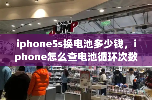 iphone5s换电池多少钱，iphone怎么查电池循环次数-第1张图片-星选测评