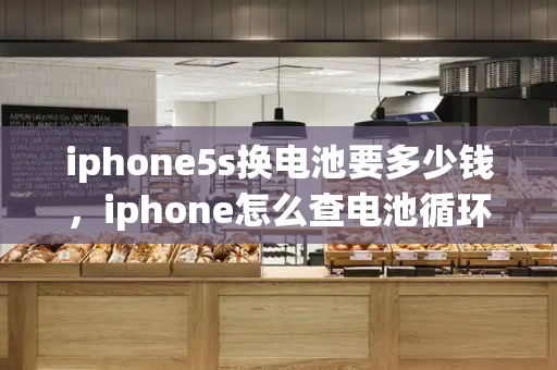iphone5s换电池要多少钱，iphone怎么查电池循环次数-第1张图片-星选测评