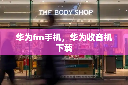 华为fm手机，华为收音机下载