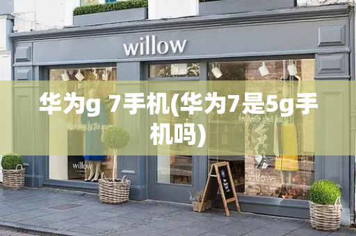 华为g 7手机(华为7是5g手机吗)-第1张图片-星选测评