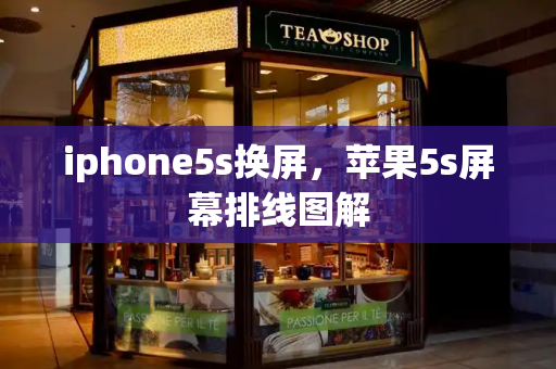 iphone5s换屏，苹果5s屏幕排线图解-第1张图片-星选测评