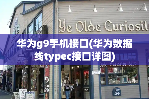 华为g9手机接口(华为数据线typec接口详图)