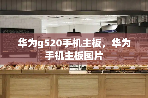 华为g520手机主板，华为手机主板图片-第1张图片-星选测评