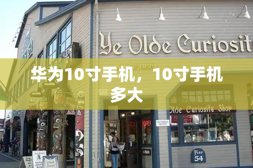 华为10寸手机，10寸手机多大-第1张图片-星选测评