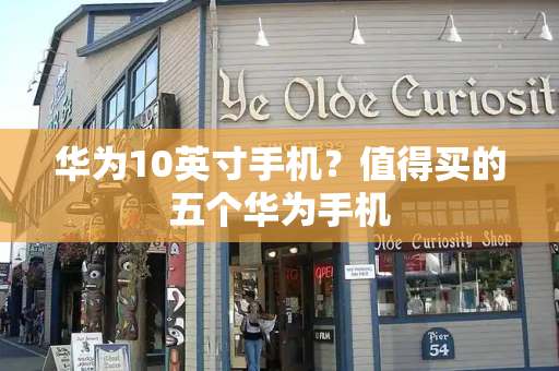 华为10英寸手机？值得买的五个华为手机-第1张图片-星选测评