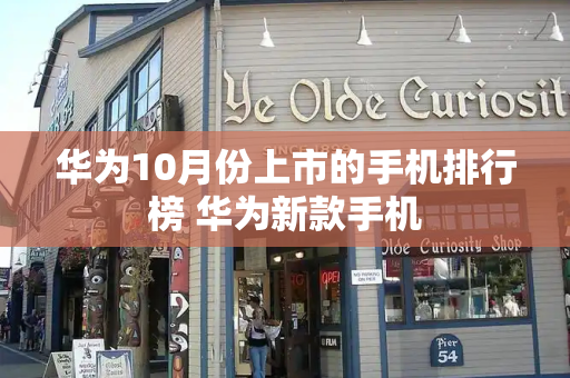 华为10月份上市的手机排行榜 华为新款手机-第1张图片-星选测评