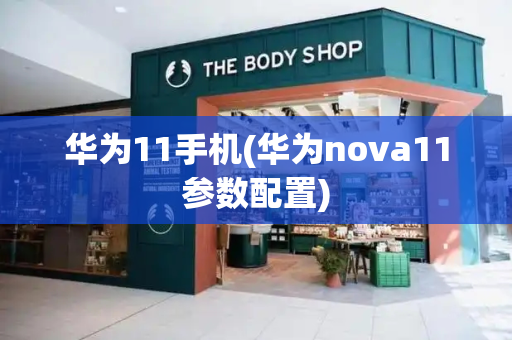 华为11手机(华为nova11参数配置)