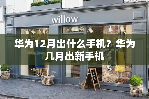 华为12月出什么手机？华为几月出新手机-第1张图片-星选测评