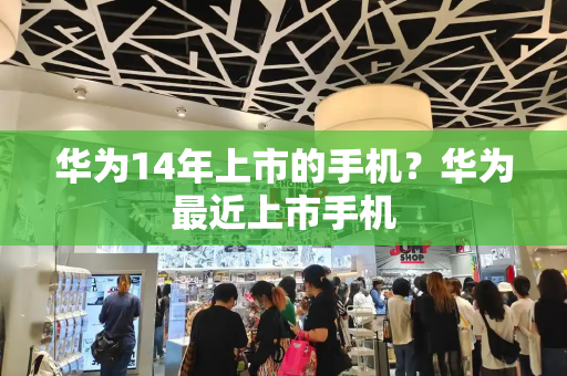 华为14年上市的手机？华为最近上市手机-第1张图片-星选测评