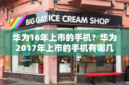华为16年上市的手机？华为2017年上市的手机有哪几款-第1张图片-星选测评