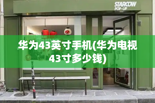 华为43英寸手机(华为电视43寸多少钱)