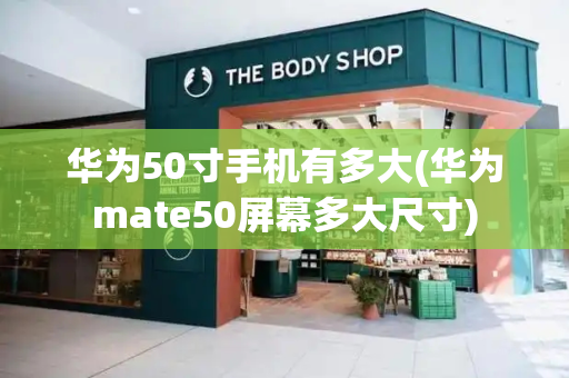 华为50寸手机有多大(华为mate50屏幕多大尺寸)
