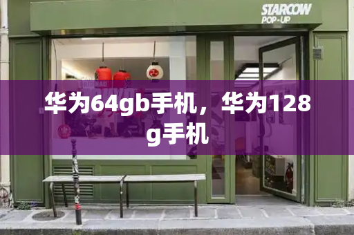 华为64gb手机，华为128g手机-第1张图片-星选测评