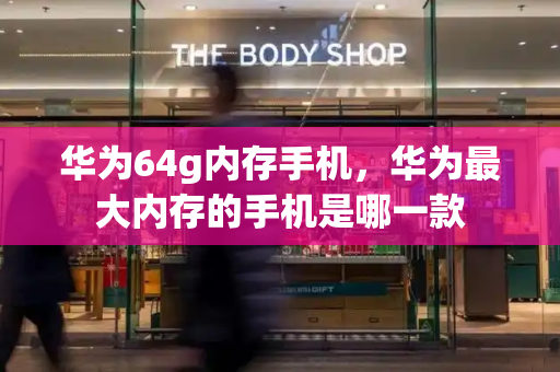 华为64g内存手机，华为最大内存的手机是哪一款-第1张图片-星选测评