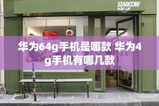 华为64g手机是哪款 华为4g手机有哪几款-第1张图片-星选测评