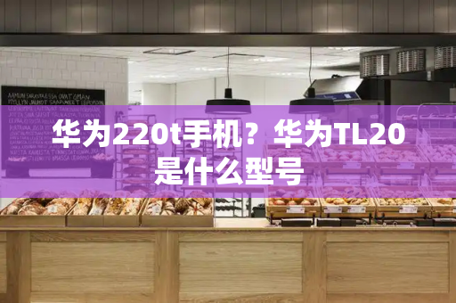 华为220t手机？华为TL20是什么型号-第1张图片-星选测评