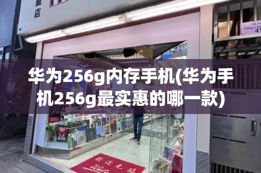 华为256g内存手机(华为手机256g最实惠的哪一款)-第1张图片-星选测评