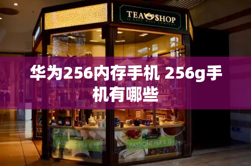 华为256内存手机 256g手机有哪些-第1张图片-星选测评