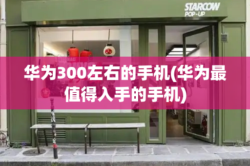 华为300左右的手机(华为最值得入手的手机)