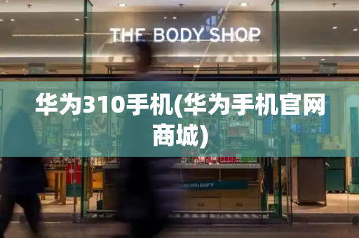 华为310手机(华为手机官网商城)-第1张图片-星选测评