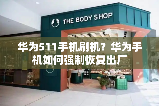 华为511手机刷机？华为手机如何强制恢复出厂-第1张图片-星选测评