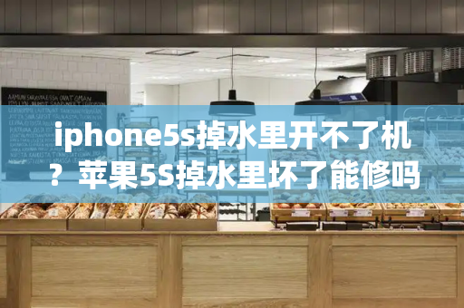 iphone5s掉水里开不了机？苹果5S掉水里坏了能修吗