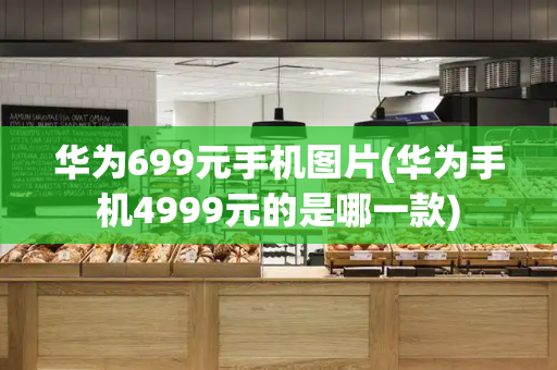 华为699元手机图片(华为手机4999元的是哪一款)