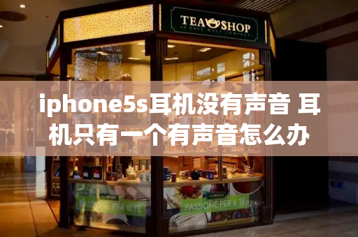 iphone5s耳机没有声音 耳机只有一个有声音怎么办-第1张图片-星选测评