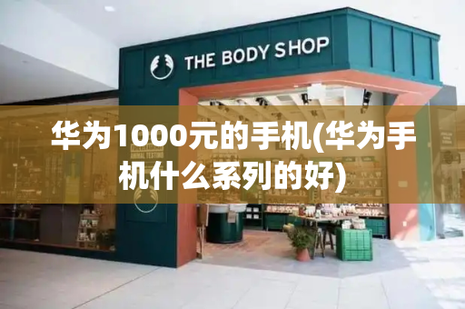 华为1000元的手机(华为手机什么系列的好)