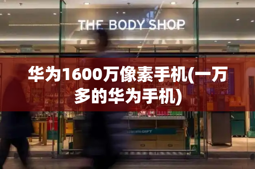 华为1600万像素手机(一万多的华为手机)-第1张图片-星选测评